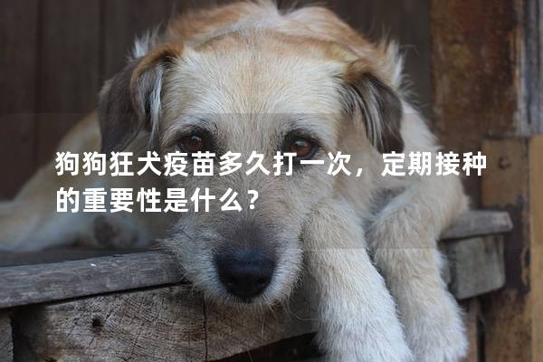 狗狗狂犬疫苗多久打一次，定期接種的重要性是什么？
