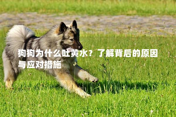 狗狗為什么吐黃水？了解背后的原因與應對措施