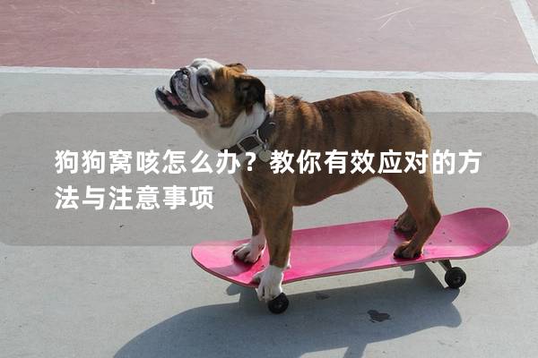 狗狗窩咳怎么辦？教你有效應對的方法與注意事項