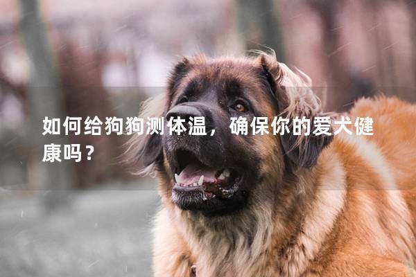如何給狗狗測(cè)體溫,確保你的愛犬健康嗎? 如何給狗狗測(cè)體溫,確保你的愛犬健康嗎?