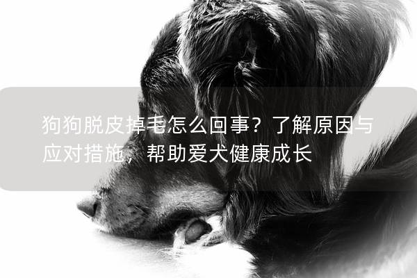 狗狗脫皮掉毛怎么回事？了解原因與應對措施，幫助愛犬健康成長