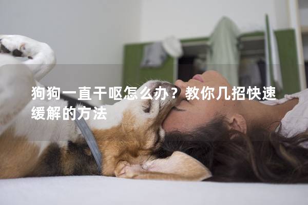 狗狗一直干嘔怎么辦？教你幾招快速緩解的方法