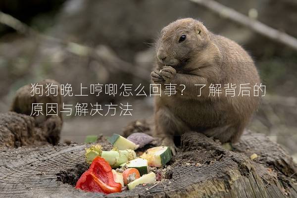 狗狗晚上哼唧怎么回事？了解背后的原因與解決方法