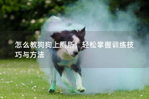 怎么教狗狗上廁所,輕松掌握訓練技巧與方法 怎么教狗狗上廁所,輕松掌握訓練技巧與方法