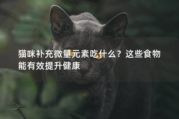 貓咪補充微量元素吃什么?這些食物能有效提升健康