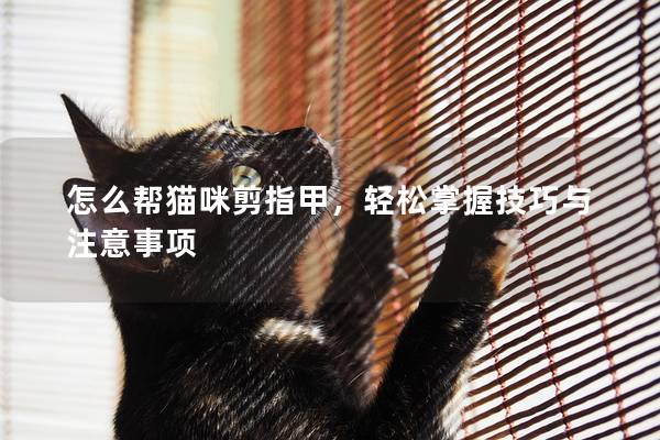 怎么幫貓咪剪指甲，輕松掌握技巧與注意事項