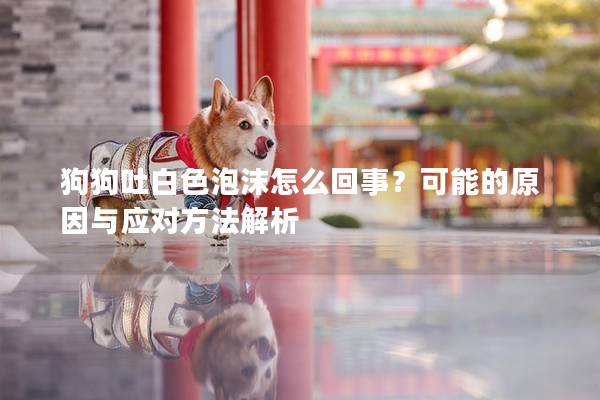 狗狗吐白色泡沫怎么回事？可能的原因與應對方法解析