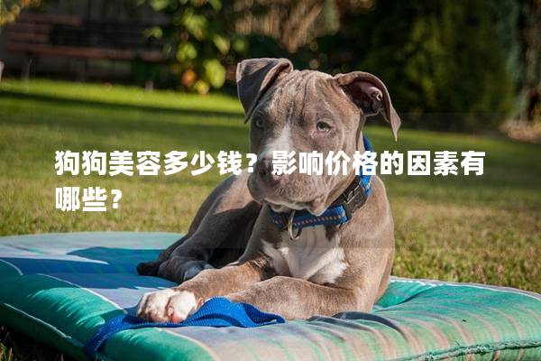 狗狗美容多少錢？影響價格的因素有哪些？