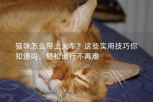 貓咪怎么帶上火車？這些實(shí)用技巧你知道嗎，輕松出行不再難