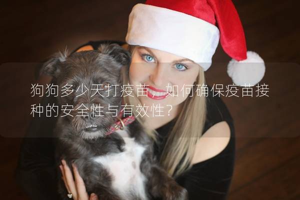 狗狗多少天打疫苗，如何確保疫苗接種的安全性與有效性？
