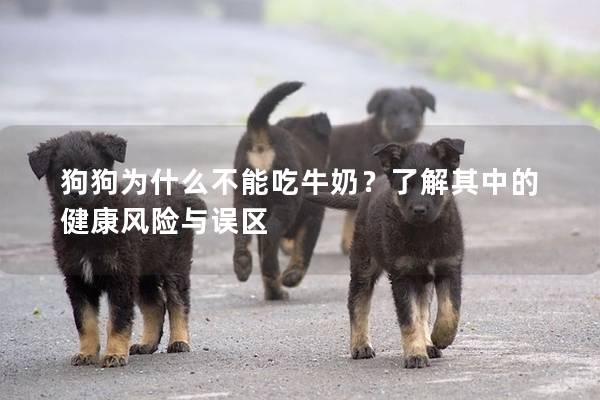 狗狗為什么不能吃牛奶？了解其中的健康風(fēng)險(xiǎn)與誤區(qū)