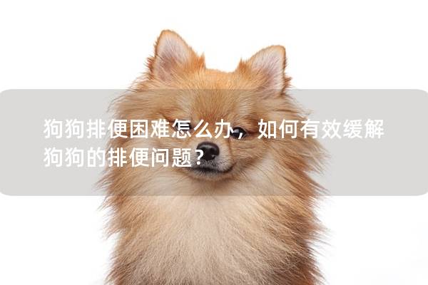 狗狗排便困難怎么辦，如何有效緩解狗狗的排便問題？
