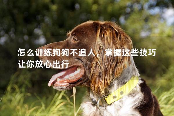 怎么訓練狗狗不追人，掌握這些技巧讓你放心出行