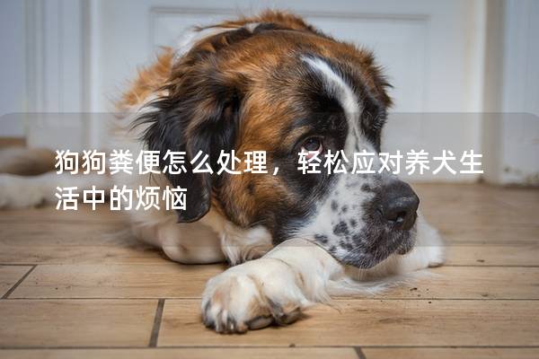 狗狗糞便怎么處理，輕松應對養犬生活中的煩惱