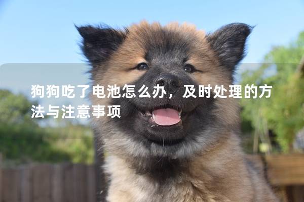 狗狗吃了電池怎么辦，及時處理的方法與注意事項