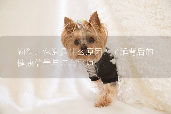 狗狗吐泡泡是什么原因？了解背后的健康信號與注意事項