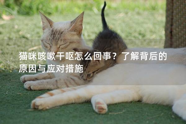 貓咪咳嗽干嘔怎么回事？了解背后的原因與應對措施