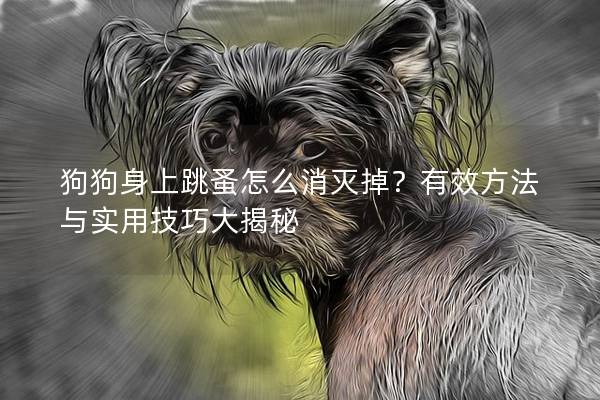 狗狗身上跳蚤怎么消滅掉？有效方法與實用技巧大揭秘