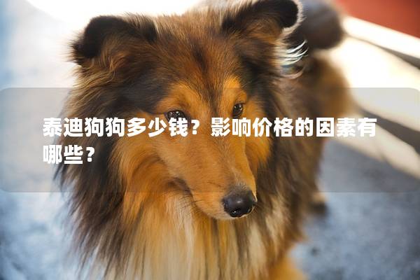 泰迪狗狗多少錢？影響價(jià)格的因素有哪些？