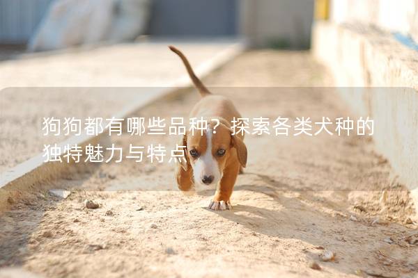 狗狗都有哪些品種？探索各類犬種的獨特魅力與特點