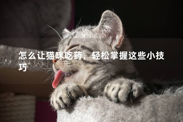 怎么讓貓咪吃藥,輕松掌握這些小技巧 怎么讓貓咪吃藥,輕松掌握這些小技巧