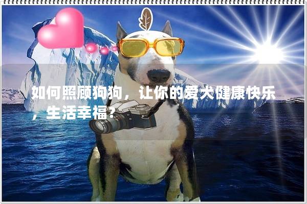 如何照顧狗狗，讓你的愛犬健康快樂，生活幸福？