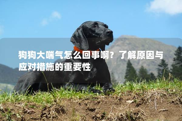 狗狗大喘氣怎么回事啊?了解原因與應對措施的重要性 狗狗大喘氣怎么回事啊?了解原因與應對措施的重要性
