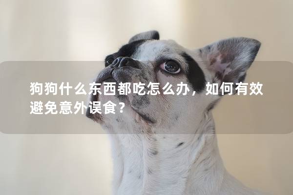 狗狗什么東西都吃怎么辦，如何有效避免意外誤食？