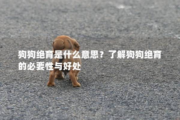 狗狗絕育是什么意思？了解狗狗絕育的必要性與好處