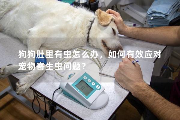 狗狗肚里有蟲怎么辦，如何有效應對寵物寄生蟲問題？