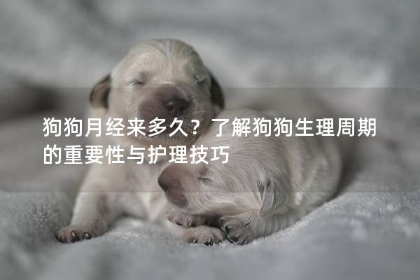 狗狗月經來多久？了解狗狗生理周期的重要性與護理技巧