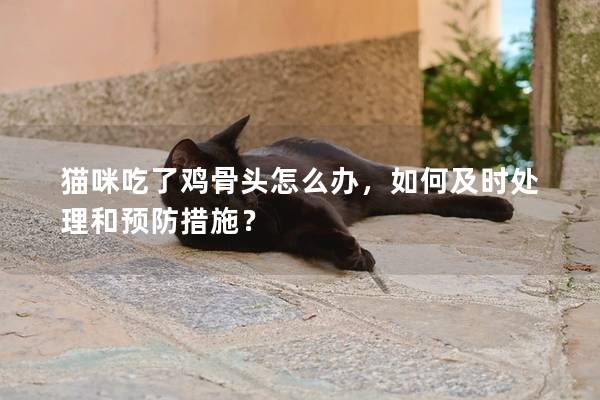 貓咪吃了雞骨頭怎么辦，如何及時處理和預(yù)防措施？