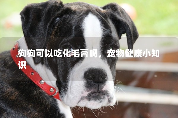 狗狗可以吃化毛膏嗎,寵物健康小知識(shí) 狗狗可以吃化毛膏嗎,寵物健康小知識(shí)