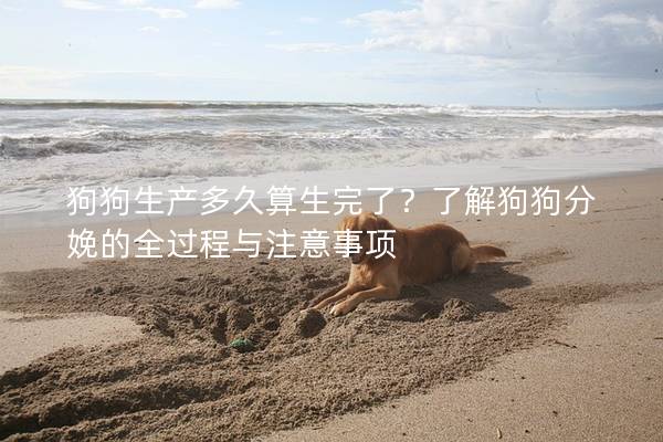 狗狗生產多久算生完了？了解狗狗分娩的全過程與注意事項