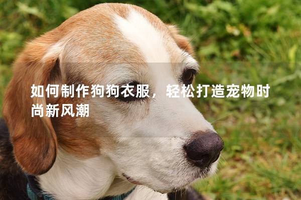 如何制作狗狗衣服,輕松打造寵物時尚新風潮 如何制作狗狗衣服,輕松打造寵物時尚新風潮
