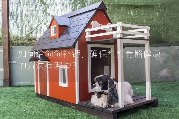 如何給狗狗補(bǔ)鈣，確保狗狗骨骼健康的方法有哪些？