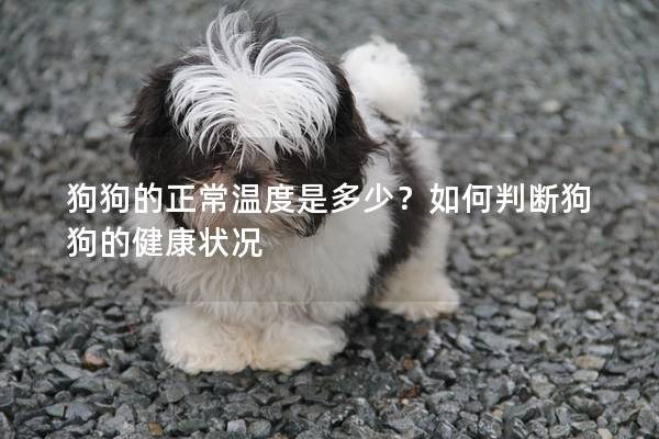 狗狗的正常溫度是多少？如何判斷狗狗的健康狀況