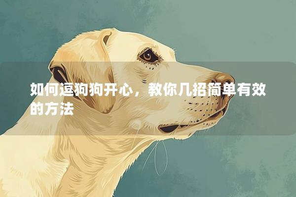如何逗狗狗開心，教你幾招簡(jiǎn)單有效的方法
