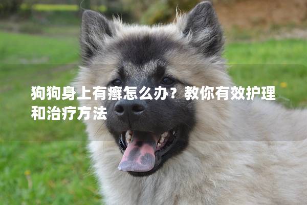 狗狗身上有癬怎么辦？教你有效護理和治療方法