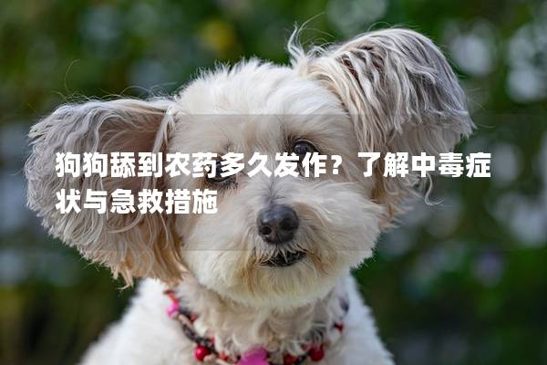 狗狗舔到農藥多久發作？了解中毒癥狀與急救措施