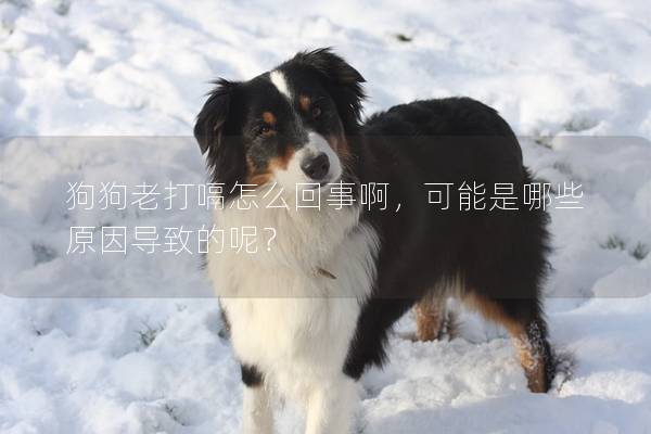 狗狗老打嗝怎么回事啊,可能是哪些原因導致的呢?