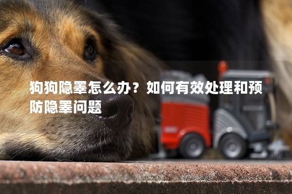 狗狗隱睪怎么辦？如何有效處理和預防隱睪問題