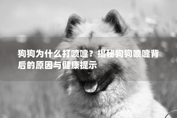 狗狗為什么打噴嚏？揭秘狗狗噴嚏背后的原因與健康提示