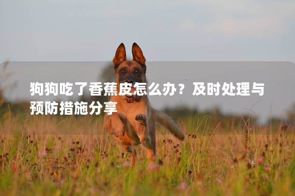狗狗吃了香蕉皮怎么辦？及時處理與預防措施分享