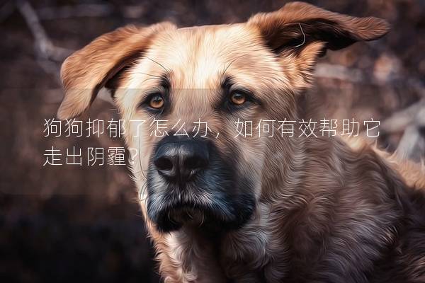 狗狗抑郁了怎么辦，如何有效幫助它走出陰霾？