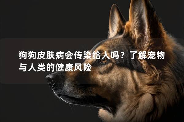 狗狗皮膚病會傳染給人嗎？了解寵物與人類的健康風(fēng)險