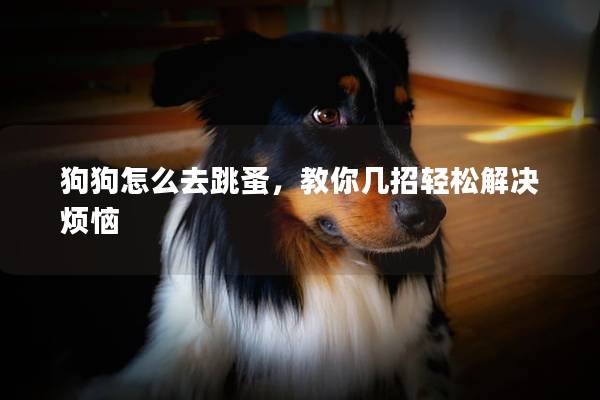 狗狗怎么去跳蚤，教你幾招輕松解決煩惱