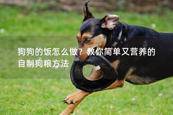 狗狗的飯?jiān)趺醋?？教你?jiǎn)單又營(yíng)養(yǎng)的自制狗糧方法