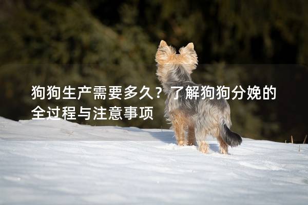 狗狗生產需要多久？了解狗狗分娩的全過程與注意事項