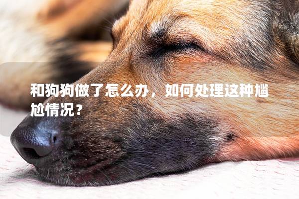 和狗狗做了怎么辦，如何處理這種尷尬情況？